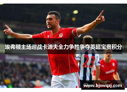 埃弗顿主场迎战卡迪夫全力争胜争夺英超宝贵积分